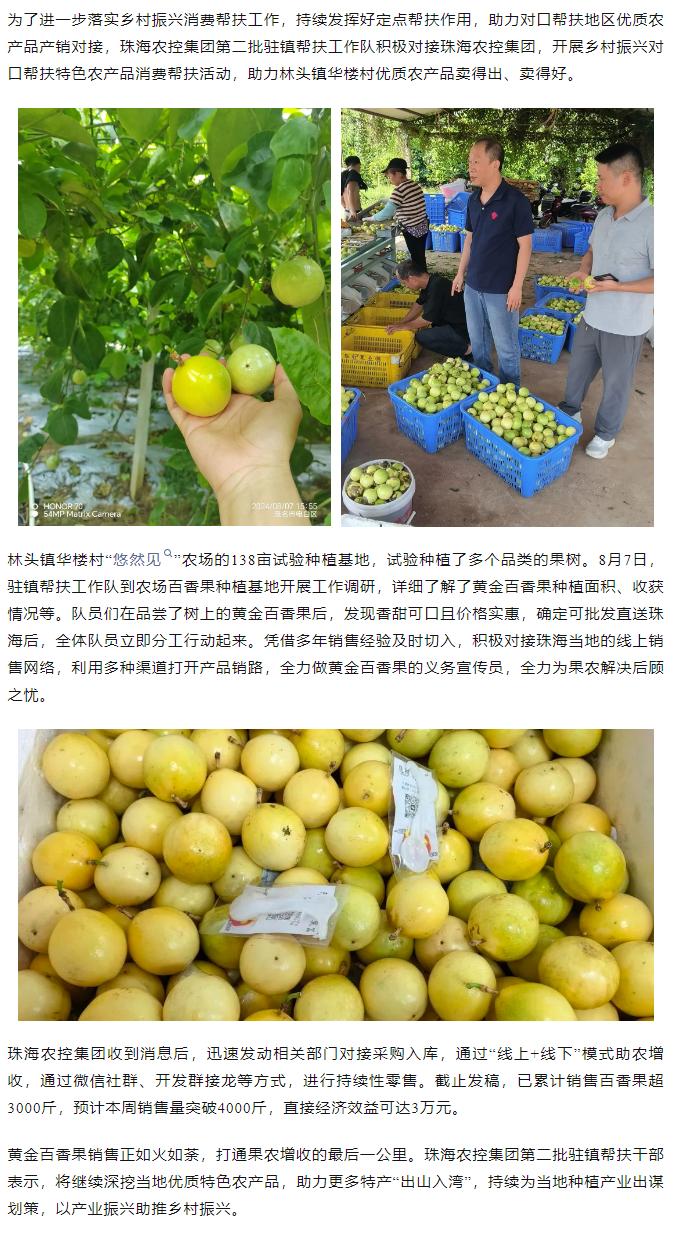 安博（中国）一站式服务官网集团助力产销对接 对口帮扶果香飘百里.png